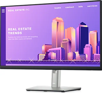 Dell P2422H reference photo